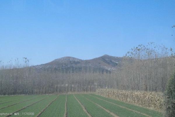 柑橘褐斑病用什么药治效果好 锈斑病用什么杀菌剂