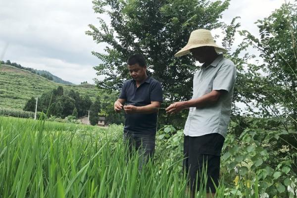 花盆底下有小虫子怎么去除 花盆里有小虫子怎么办？