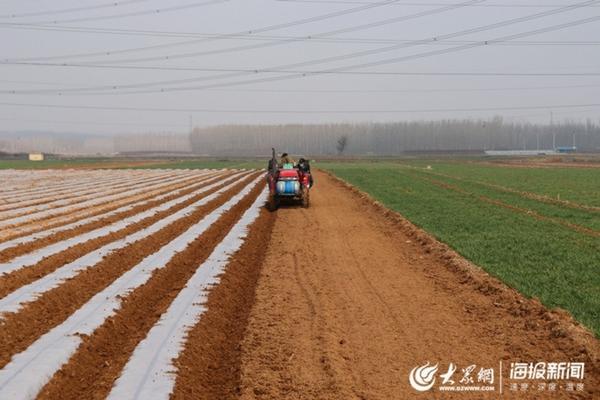 什么可以代替多菌灵的药效 多菌灵和杀虫剂能混合使用吗