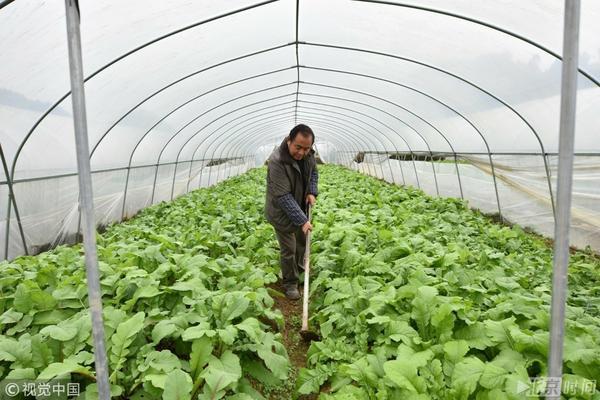 君子兰花用什么土栽培最好 用兰花植料种君子兰可以吗？