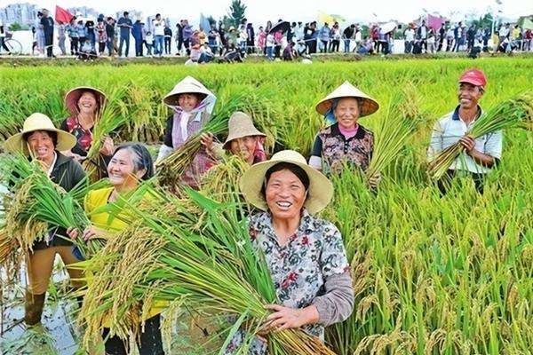 用代森锰锌杀菌剂多少天喷一次 代森锰锌和多菌灵哪个更安全