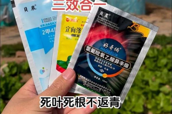 高氯毒死蜱：深入了解其类型与特性