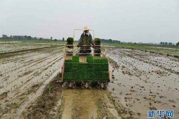 多菌灵和除草剂能混合使用吗 唑啉草酯不能和哪些农药复配？