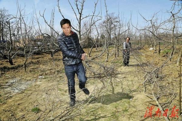 甜蜜蓝宝石葡萄苗品种介绍 高架葡萄什么品种好？