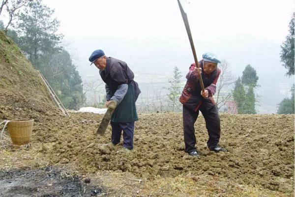 洗涤剂灌装机 瓶装自动灌装机