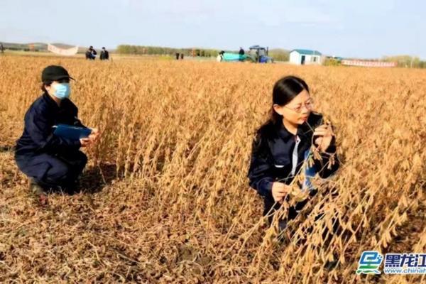 14羟基与28表芸苔素哪个好 芸苔素内酯哪个牌子好？