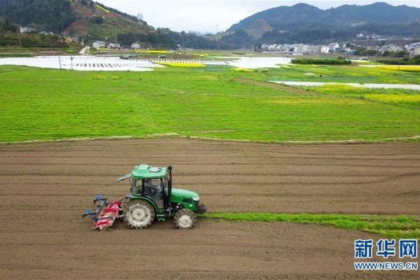 西瓜种植株距行距多少合适 西瓜种植株行距示意图