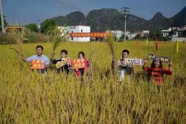 花上有腻虫用什么方法去除掉最快 花上长蚜虫用什么办法消灭？