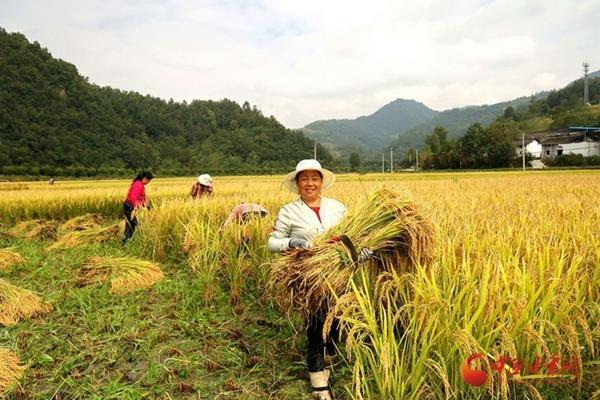 芸苔素和磷酸二氢钾一块用吗 磷酸二氢钾的用法用量