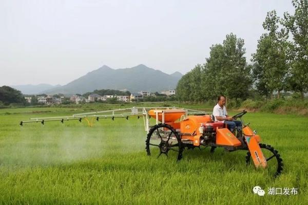 先正达小麦拌种剂生产厂家地址详细解析