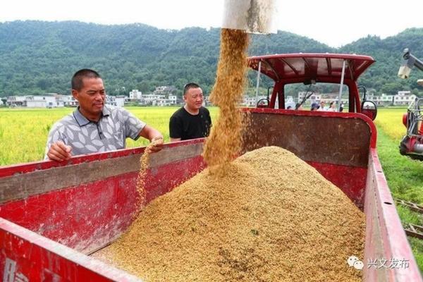 一千克滴酸草甘膦配多少克水 一千克草甘膦大概兑水多少升？