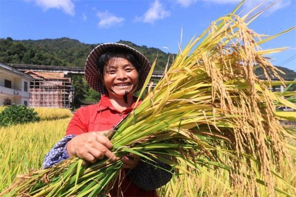 杀菌剂杀虫剂叶面肥一起混用 吡唑醚菌酯与苏云金杆菌混用