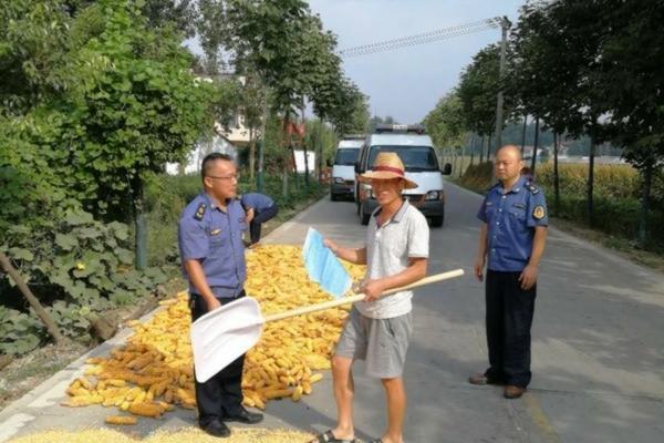 2024年花生种植最佳时间 种植花生高产的诀窍