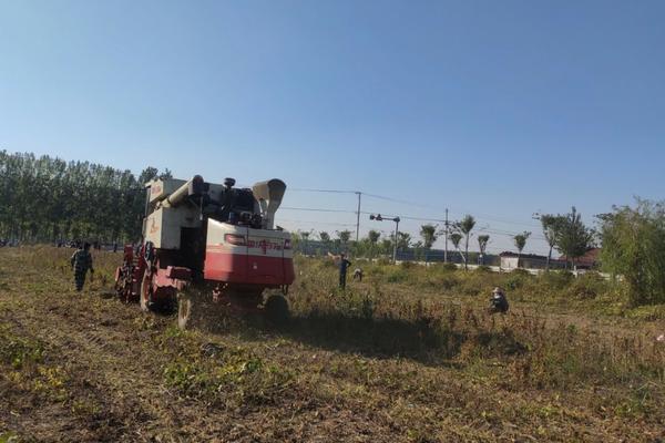 兰花蚧壳虫怎样彻底消灭它 兰花上的蚧壳虫怎样彻底消灭？