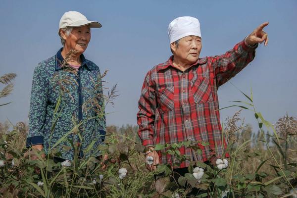 草甘膦除草剂误伤茄子怎么办 草甘膦除草剂使用方法