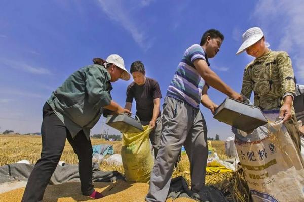 水稻打除草剂的最佳时间：全面解析与操作建议