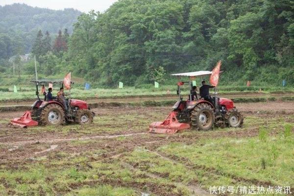 果树喷雾器哪种最好用 解除果树药害最简单的方法？