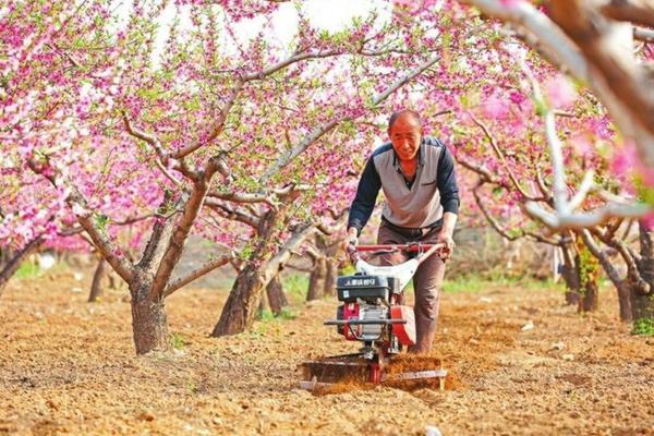 食用菌专用多菌灵 食用菌哪家公司最好