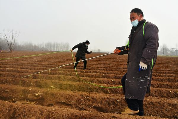 为什么大棚内不能随便使用除草剂 除草剂抹在叶片上能烂根吗？