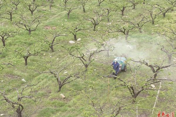 乙草胺乳油能否有效灭除毛草？解析其除草效果及应用方法