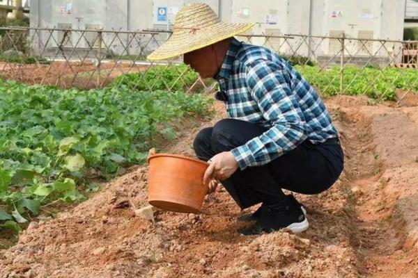 蔬菜除草剂怎么处理果树 果树误打除草剂马上大量浇水有用吗？