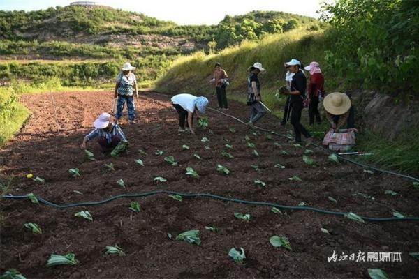 福美双和多菌灵那好 福美双能和哪些杀菌剂混用