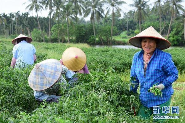 配方施肥校正试验方案 测土配方技术包括