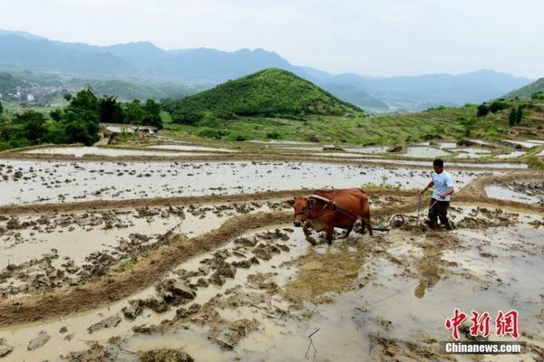 柑橘生根水 复硝酚钠在沙糖桔着色期可以用吗？