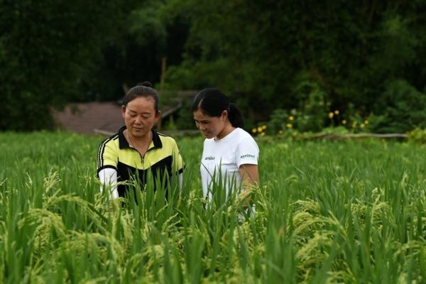 鱼跃蚂蚁的农药 《蚂蚁和西瓜》的作者是谁？