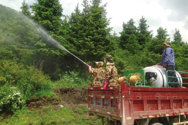 婆婆纳用什么除草剂 花生田香附子用什么除草剂能根除