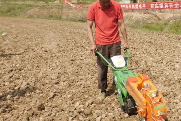 生根粉和多菌灵可以一起泡吗 生根粉可以与多菌灵混用吗