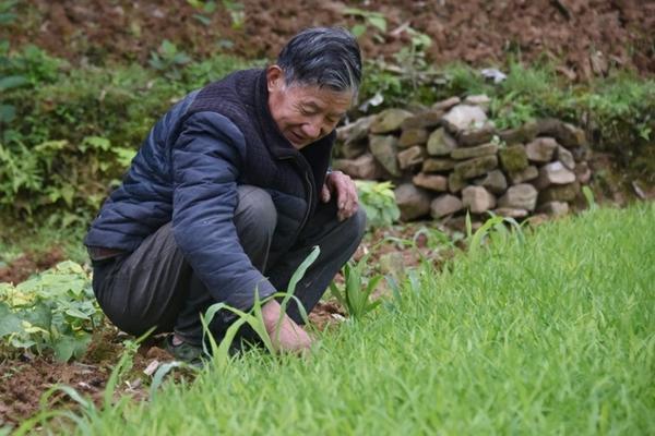 白色的苹果叫什么水果 白点苹果是什么？