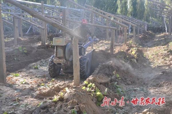 花生田封闭除草剂什么最好 花生拌种剂最佳配方