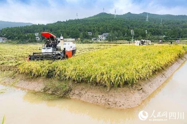 苯并咪唑类药物有哪些 苯并咪唑和多菌灵的关系