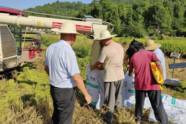 秋葵种植技术与管理视频 秋葵的生长环境及栽培方法