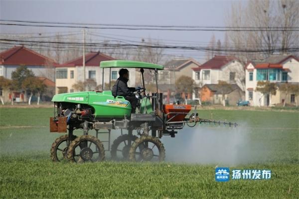 赛丹除草剂对水稻的安全性分析