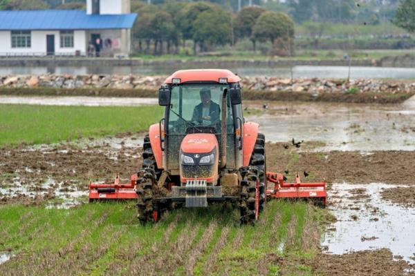 除草剂属于危险品 三氯亚磷是不是危险品？