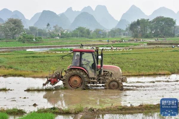 洁田稻除草剂用后能种小麦吗 水稻移栽田封闭除草剂用什么最安全