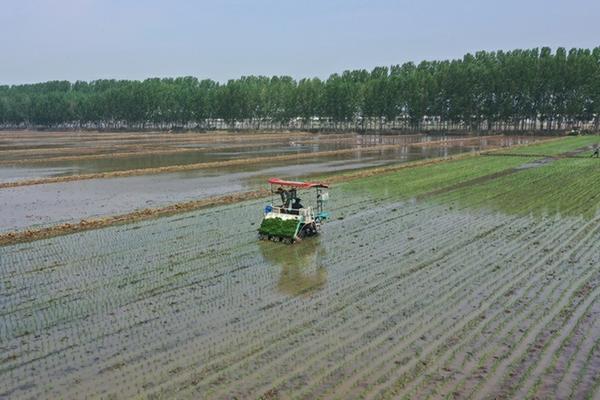 西瓜种在打过除草剂的地理会怎么样 高效氟吡甲禾灵除草剂能打西