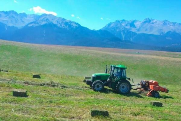 稻田除草剂使用说明文 药草青标穗稻使用方法？