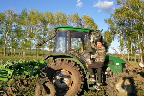 大棚丝瓜种植时间及技术要点 丝瓜种植方法及注意事项