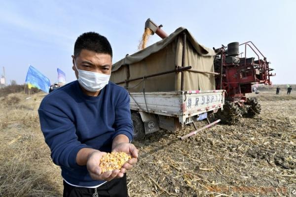 洁田稻除草剂主要成分 小麦田除草剂有哪些