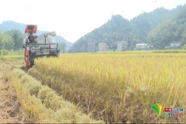 除草剂对转基因有用吗 为什么抗除草剂转基因作物能提高产量？