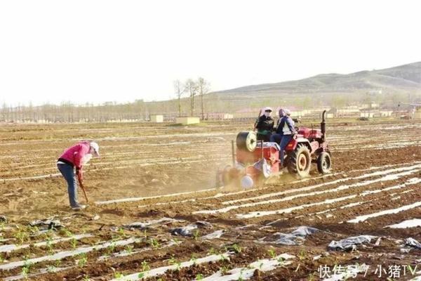 水稻的主要病害是什么病 水稻纹枯病用什么药治