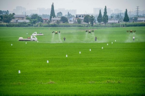 多肉能用紫外线灯照射吗 多肉可以用紫外线灯补光吗？