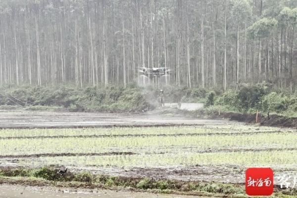 吡唑醚菌酯戊唑醇咪鲜胺：植保新星的综合性能深度解析与应用探讨