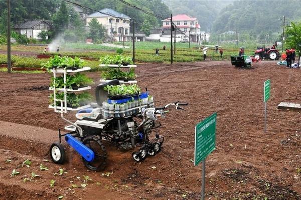 田里杂草生长快用什么除草剂 三棱草特效除草剂？