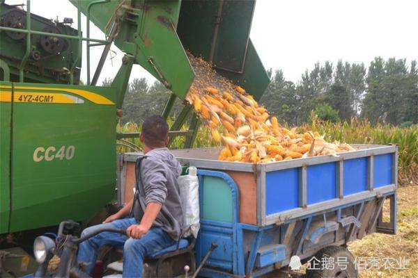 辣椒怎么能红的快 红辣椒手机锁屏图案密码忘了怎么解锁？