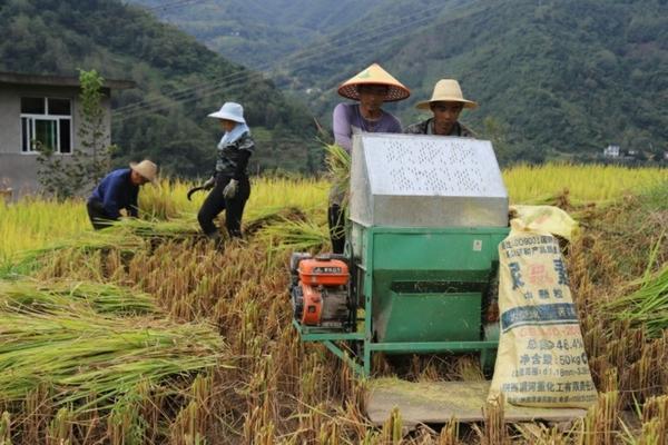 虎贲除草剂在防治小麦田阔叶杂草方面的应用与效果