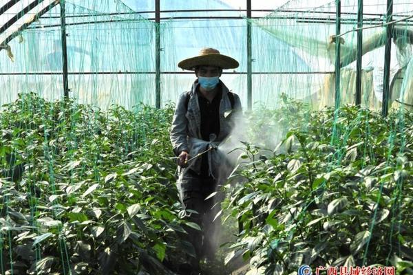 噻磺乙草胺封闭除草的范围及效果分析